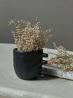 a black vase with white flowers in it sitting on a table next to a book