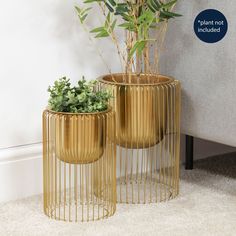 two planters with plants in them on the floor