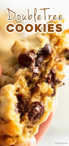 a hand holding a chocolate chip cookie with the words double tree cookies in front of it