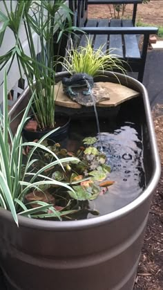 a large potted planter filled with water and plants