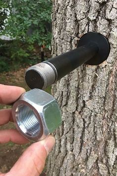 a hand holding a metal nut in front of a tree with a hose attached to it