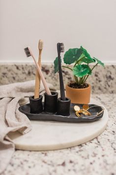 three toothbrushes are sitting on a tray next to a potted plant