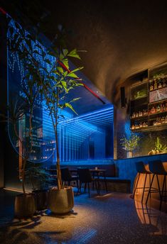 a dimly lit bar with plants and stools in the foreground, blue lights on the walls