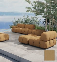 a set of couches sitting on top of a cement floor next to a tree