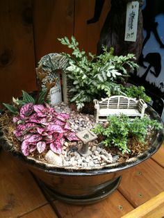 a potted plant with rocks and plants in it