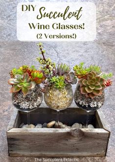 three glass vases filled with succulents and rocks on top of a wooden box