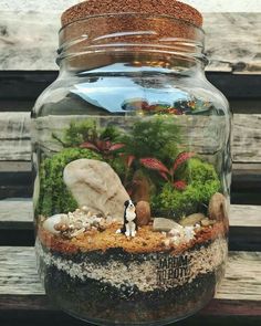 a jar filled with rocks and plants on top of a wooden table