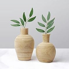 two wooden vases with green leaves in them