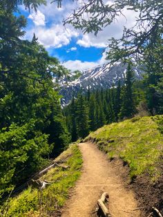 a dirt path in the woods with snow capped mountains behind it and blue skies above