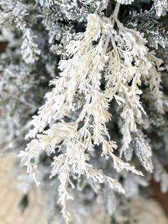 a close up view of the branches of a christmas tree with snow on it,