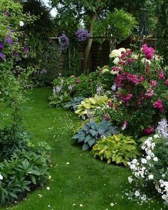 a garden filled with lots of different types of flowers