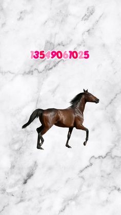 a brown horse running on top of a white marble floor next to a pink sign