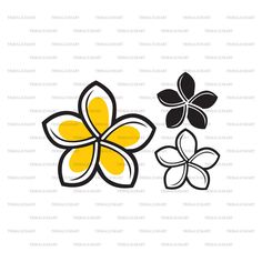 two black and yellow flowers on a white background