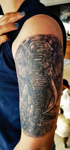 an elephant tattoo on the right arm and shoulder is shown in black and grey colors