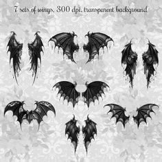 a set of gothic black dragon wings and fangs on white floral background with text that reads, i get lots of wings 300 dpi transparent transparent background background