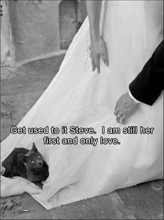 a man in a tuxedo is petting a woman's wedding dress