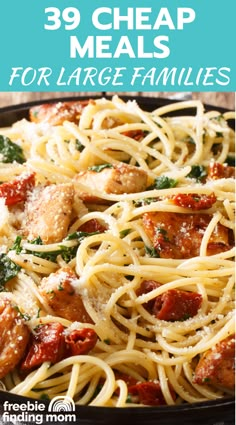 This is a pasta recipe that makes a delicious and satisfying cheap meal for large families. Family Cheap Meals, Cheap Healthy Dinner Ideas, Meals For Big Families, Cheap Meals For Large Families, Low Budget Recipes, Healthy Chili Recipe Turkey, Meals For Large Families, Cheap Healthy Dinners, Big Family Meals