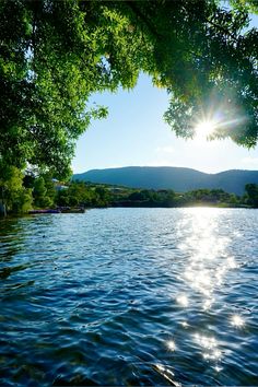 the sun shines brightly through some trees over a body of water