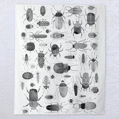 a black and white drawing of different bugs on a piece of paper hanging on a wall