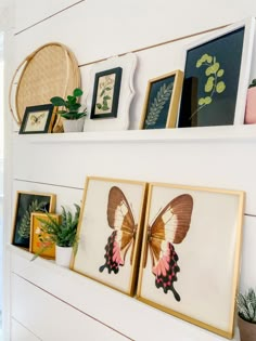 some framed pictures and plants on a shelf