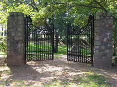 an iron gate in the middle of a park