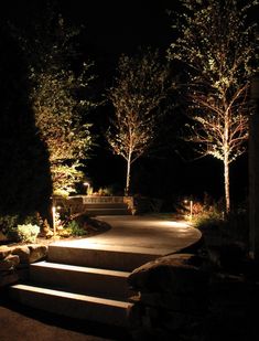 an outdoor walkway lit up at night with trees and bushes in the backround