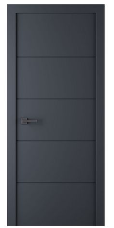 an image of a modern door with metal handle on the front and side paneling