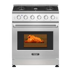 a stainless steel oven with a turkey on the front and side burners in it