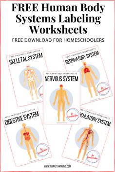 the free human body systems labeling worksheets for homeschoolers are included