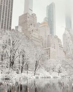 the city skyline is covered in snow as it sits next to a body of water