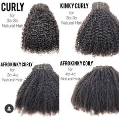 Natural Hair Textures, Weave Curls, Hair Chart, Natural Hair Ponytail, Twist Updo, Color Hairstyles, Hd Lace Wigs, Afro Wig