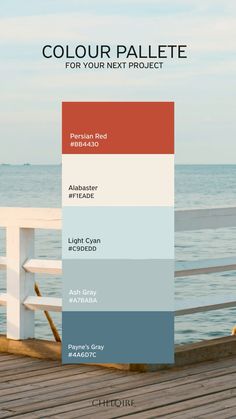 the color palette for your next project