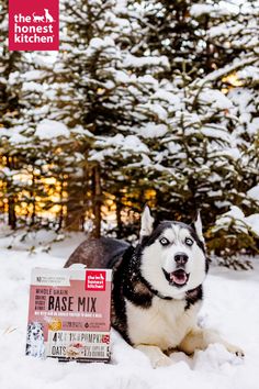 a dog laying in the snow next to a box of base mix