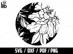 a black and white flower in a circle with the text svv / dxf / png