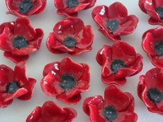 many red flowers on a white surface