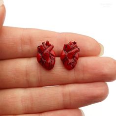 Realistic anatomical heart stud earrings.The size of a heart is about 1,5x1 cm (0.6x0.4 inch)Material: polymer clay, stainless steel.I can make а hearts into other colors, just contact me.* For your collection - you may also like:♥ Anatomical Heart Necklace https://www.etsy.com/listing/622242407/anatomical-heart-necklace-gift-for♥ Anatomical Heart Pin https://www.etsy.com/listing/655838975/anatomical-heart-pin-realistic-anatomyOther earrings you can see here: https://www.etsy.com/shop/RinaStudio Creepy Earrings, Anatomical Heart Necklace, Biology Science, Halloween Goth, Heart Nail Art, Polymer Clay Jewelry Diy, Horror Halloween, Anatomical Heart, Heart Pin