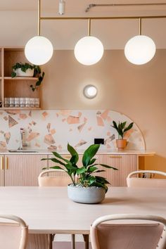 a dining room table with some plants in it