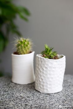 two white ceramic pots with plants in them