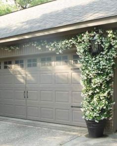 a house with a large plant growing out of it's garage door and attached to the side of the building