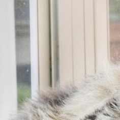 a cat laying on top of a window sill next to a glass sliding door