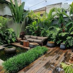 an outdoor living area with lots of plants and couches in the middle of it