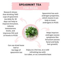 Spearmint Tea Benefits, Smoothie Base, Spearmint Tea, Low Estrogen Symptoms, Boiled Egg Diet