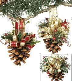 three pine cones decorated with bows and ribbons hanging from a tree branch in front of a white background