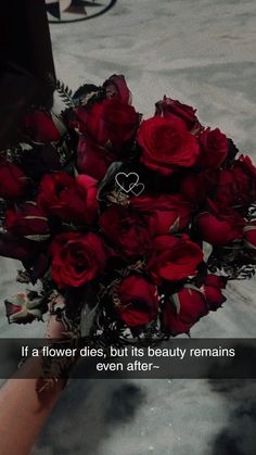 someone holding a bouquet of red roses with a quote on it that reads, if a flower dies, but its beauty remains even after