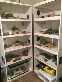 two white shelves filled with rocks and plants