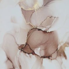 an abstract photograph of white and gold flowers on a white background with some brown leaves