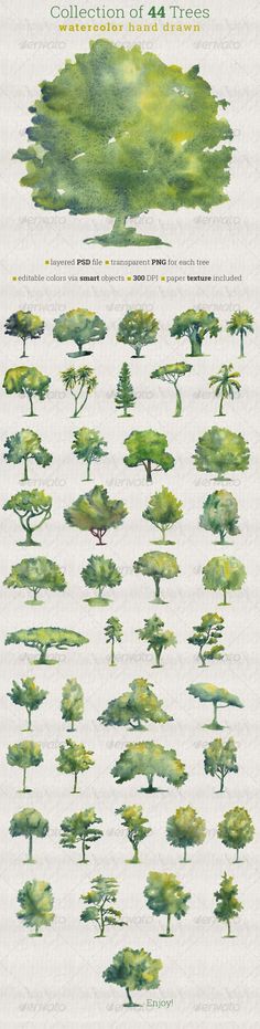 watercolor trees are shown in green and blue colors, with the words collection of 24 trees