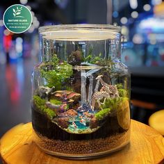 a glass jar filled with plants and animals