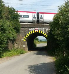 a train traveling over a bridge on top of a road next to trees and bushes