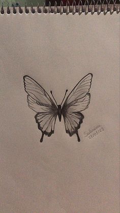 a drawing of a butterfly on a piece of paper